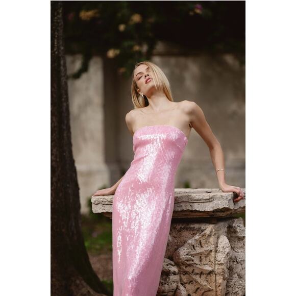 Hutch Women's Elena Strapless Sequin Column Maxi Dress Pink Size Small NWOT - Picture 3 of 12